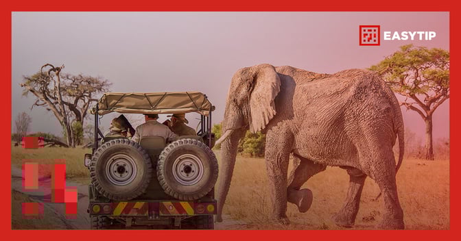 A safari vehicle with three passengers is driving through a dry, grassy landscape. An elephant is walking beside the vehicle, close enough to touch. The background features sparse trees and a hazy sky. The image is framed by a red border, and there is a logo in the top right corner that reads 'EASYTIP' with a red and white design.