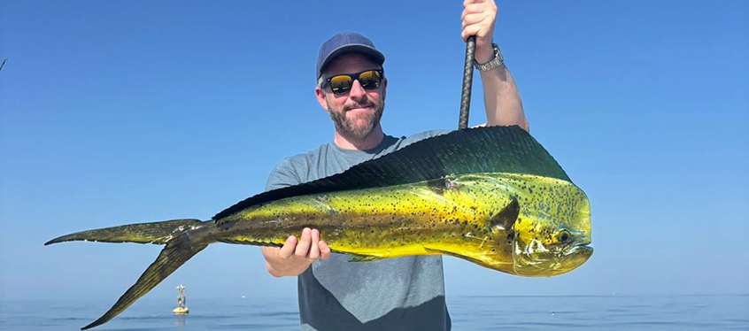 arabian-fish-featured-image